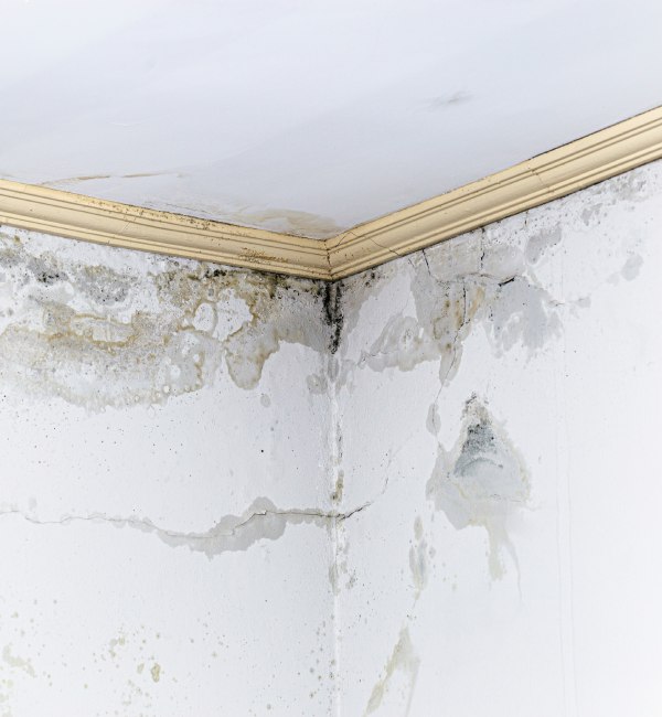 Fire and Soot Restoration